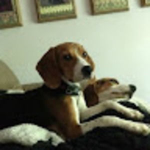 Meet your Posher, Emma